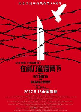 铁血残阳&mdash;&mdash;在刺刀和藩篱下